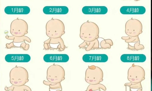 减肥期间暴食了怎么补救专区_减肥期间暴食怎么办专区_减肥期间暴食网